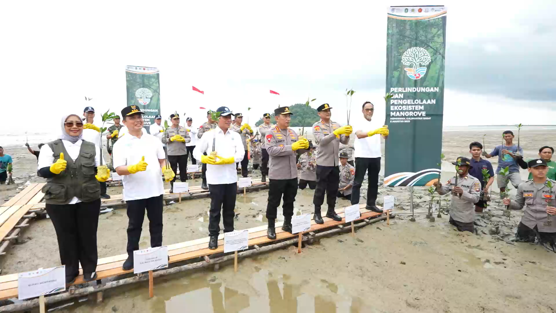Jaga Alam untuk Anak Cucu, Kapolri Tanam Mangrove di Kalimantan Barat